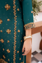 • Clothing: Embroidered/Printed suit for women - Made of best quality fabric - lawn or linen or chiffon - pure silk - Available at Najma Designs & Co. • Jewelry: Gold - plated stud earrings for