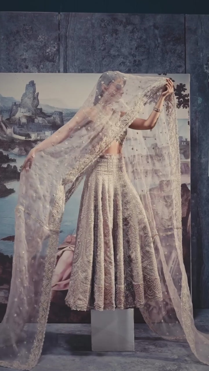 Celeste – Zarposh | Velvet & Organza Hand-Embroidered Lehenga Set